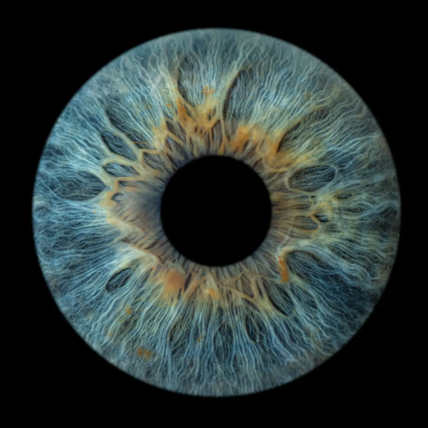 Blau-goldene Irisfotografie als individuelles Kunstwerk